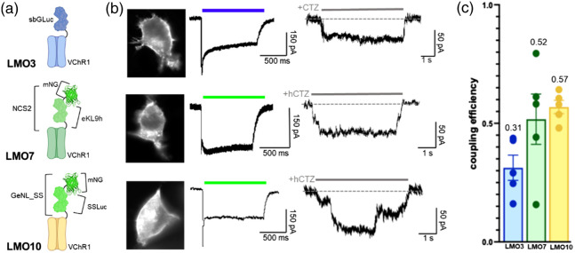 Fig. 3