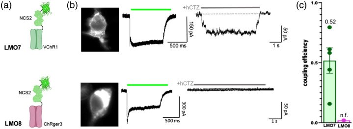 Fig. 4