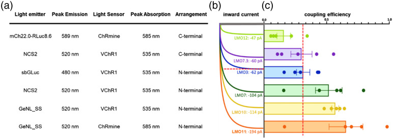 Fig. 10