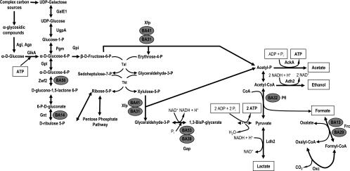 FIG. 3.