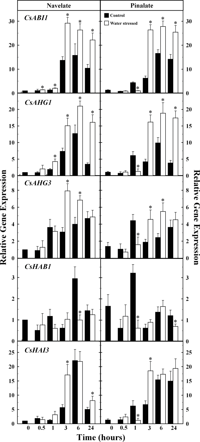 Fig. 6. 