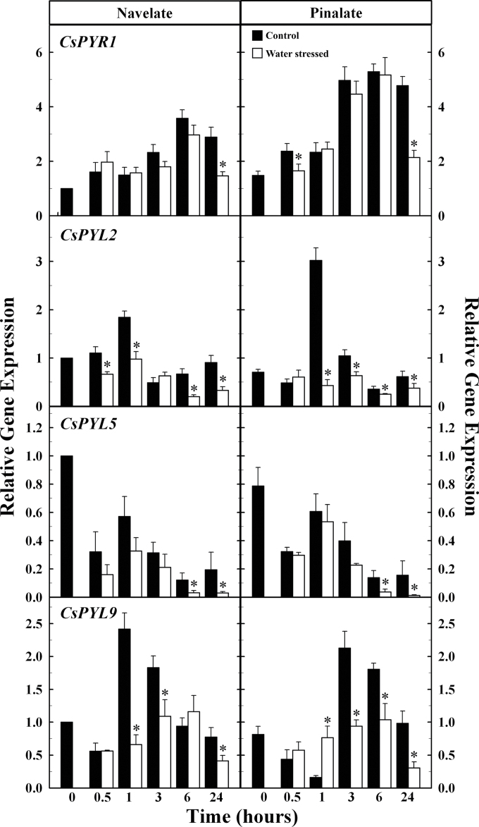 Fig. 5. 