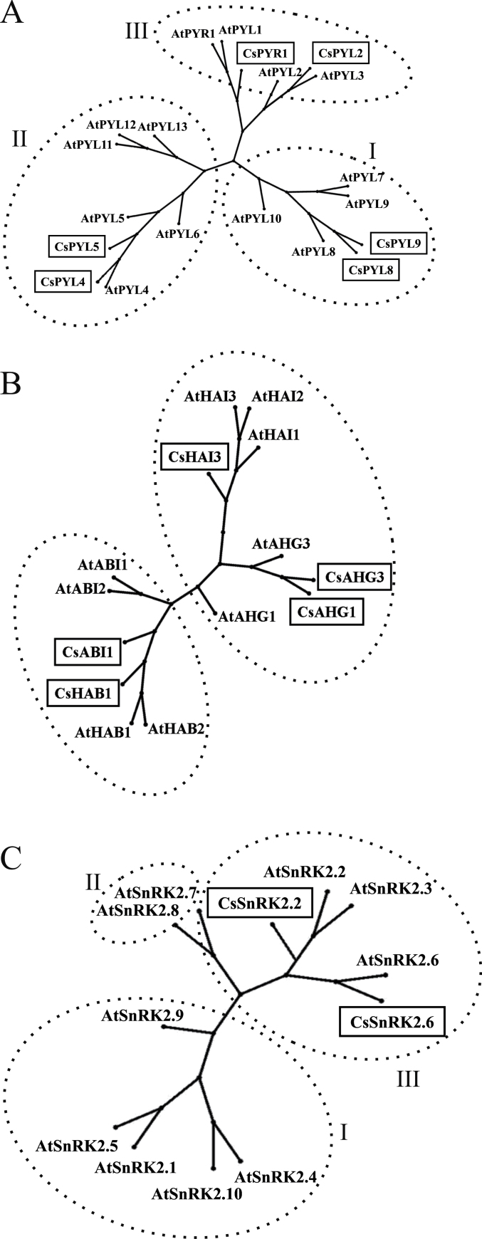 Fig. 1. 