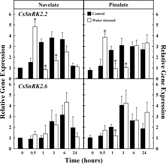 Fig. 7. 