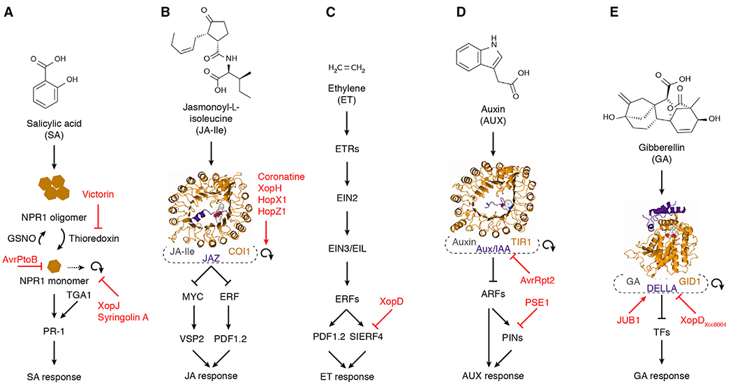 Figure 3.