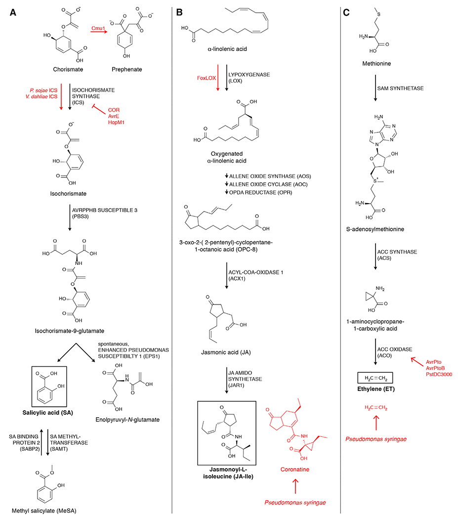 Figure 2.