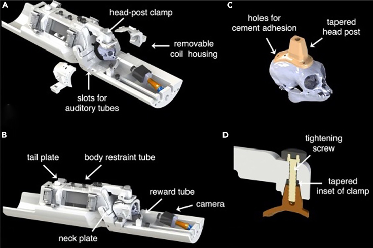 Figure 1