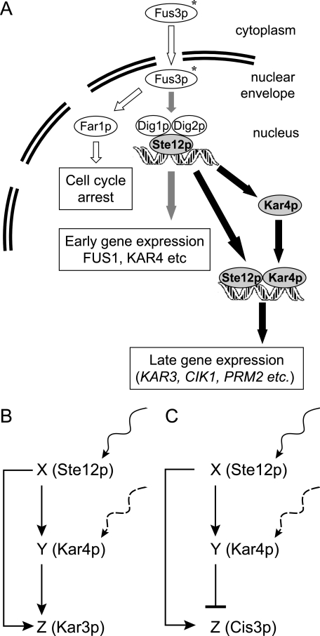 FIG. 8.