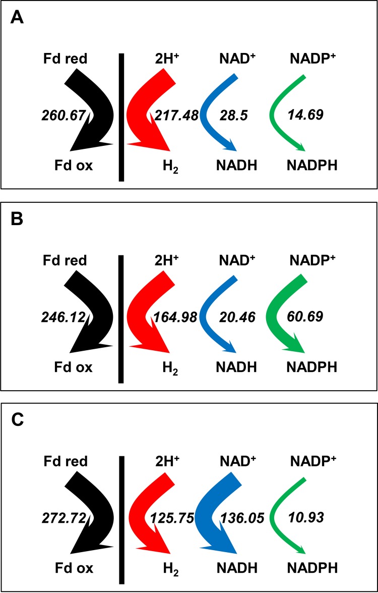 FIG 2 