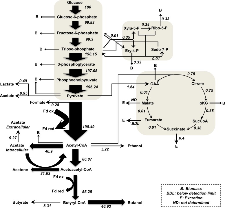 FIG 3 