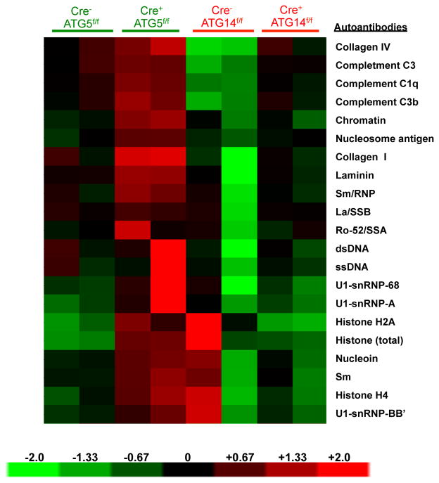 Extended Data Figure 10