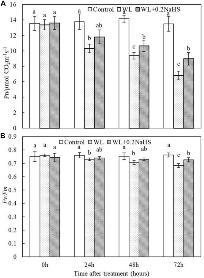 FIGURE 3