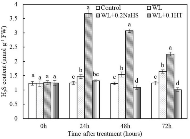 FIGURE 4