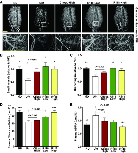 Fig. 11.