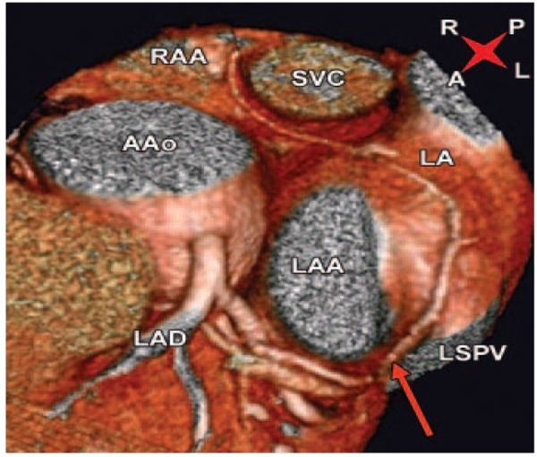 Figure 5