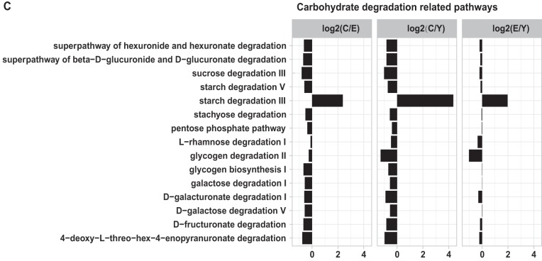 FIG 3