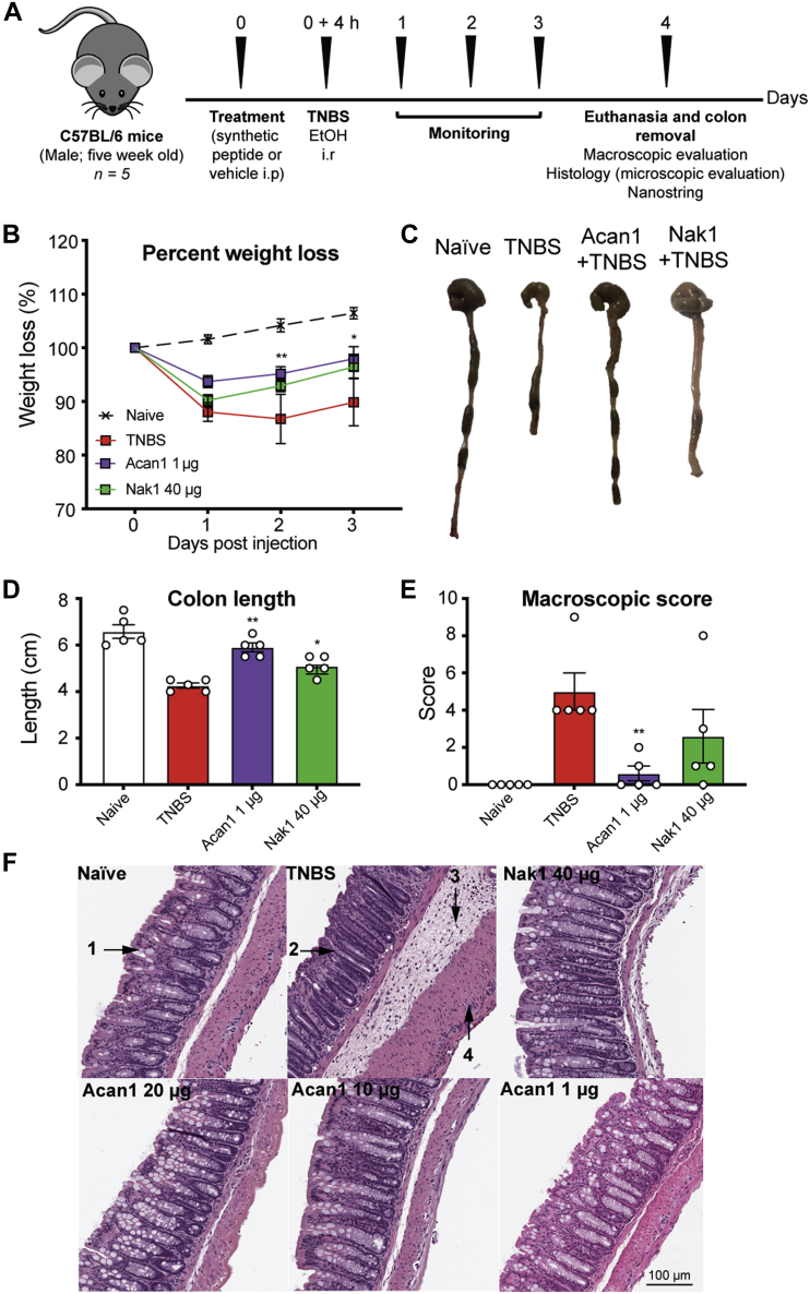 Figure 6