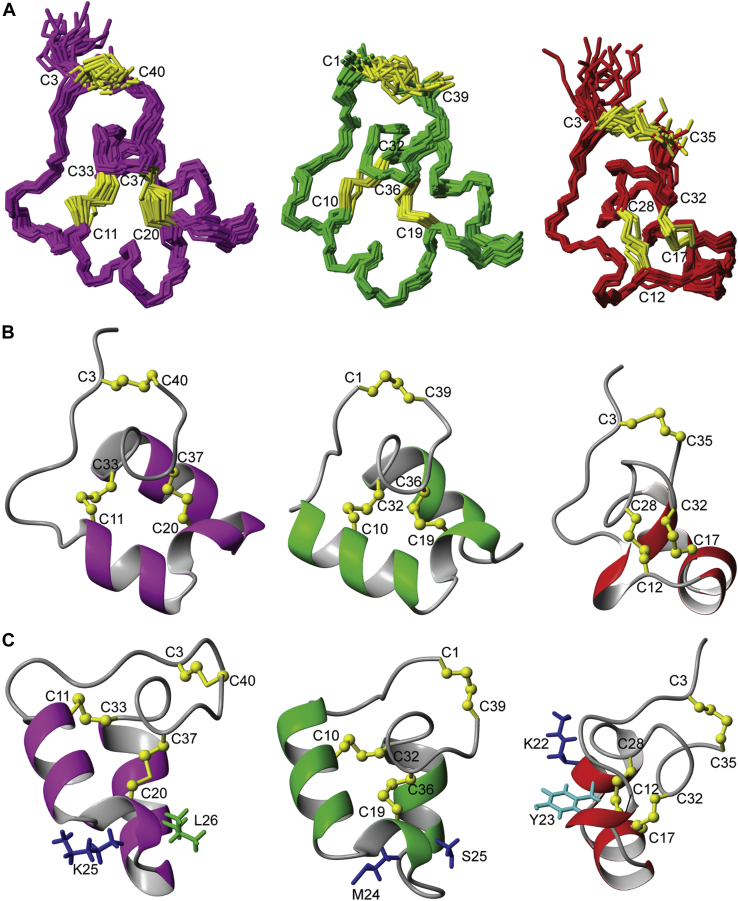 Figure 2