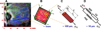 Fig. 2.