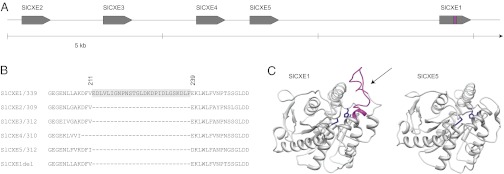 Fig. 4.