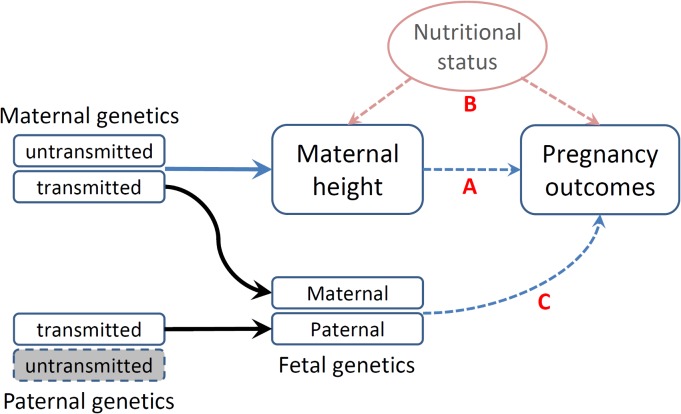 Fig 1