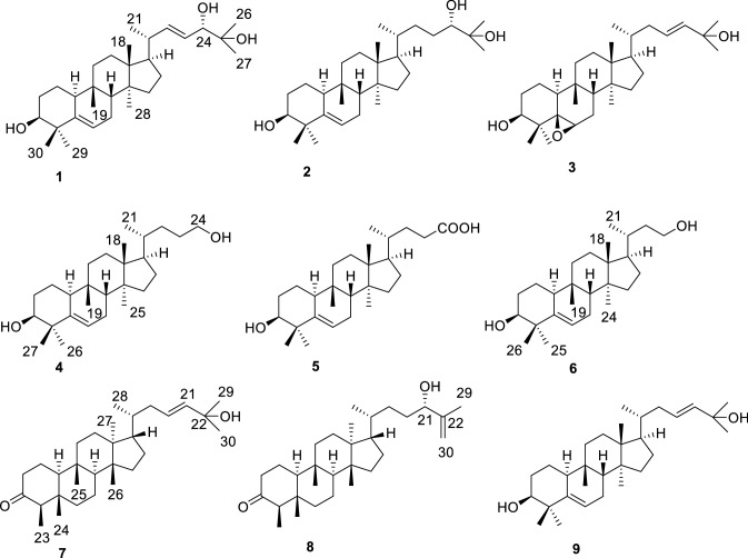 Fig. 1