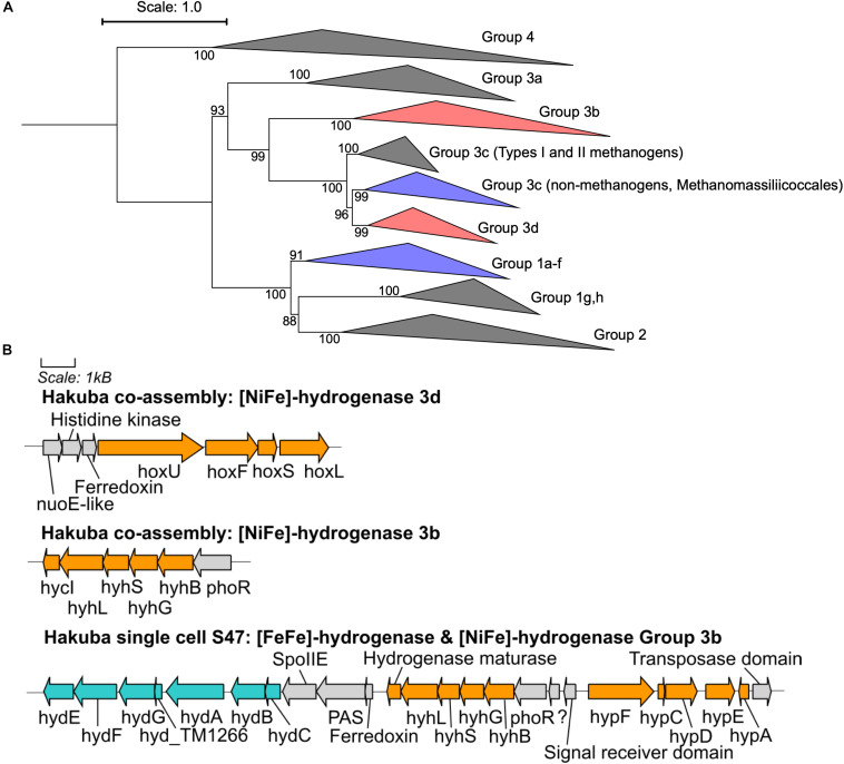 FIGURE 3