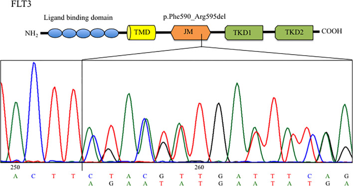 Figure 2