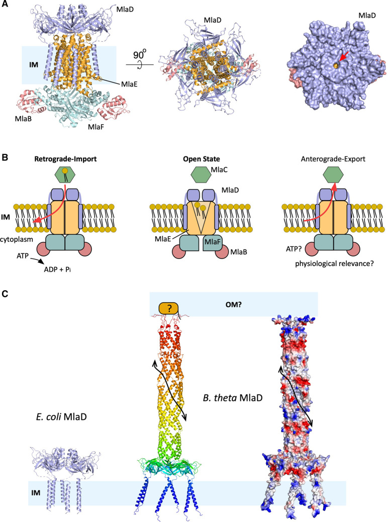 Figure 4.