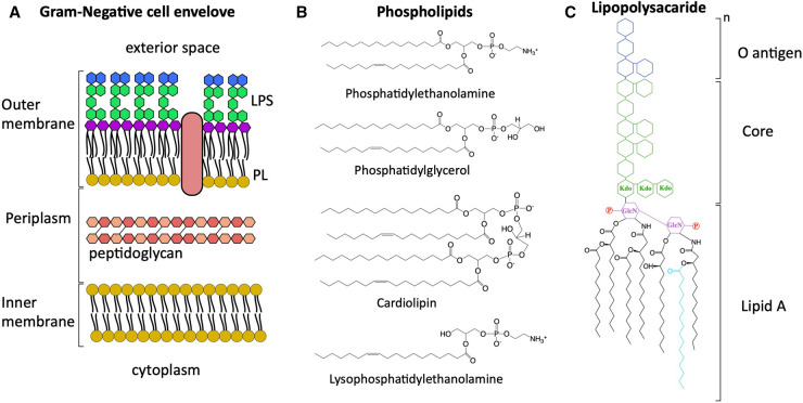 Figure 1.