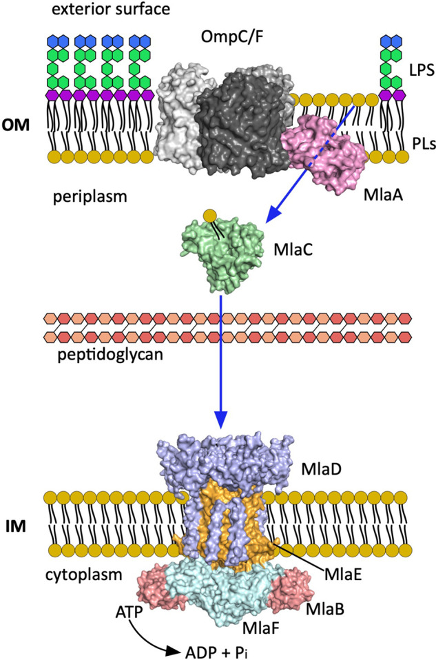 Figure 2.