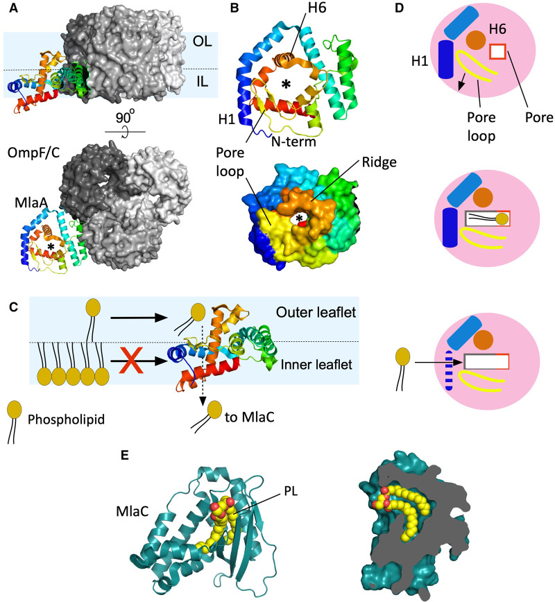 Figure 3.