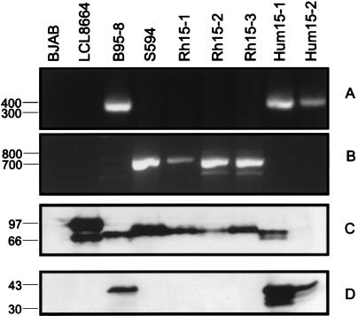 FIG. 6