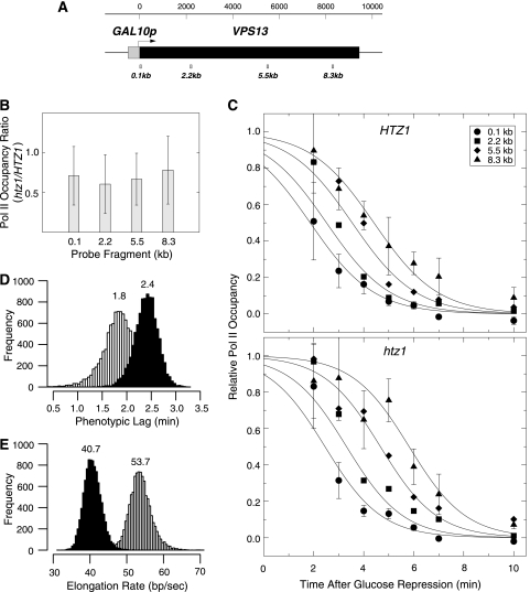 Fig. 8.