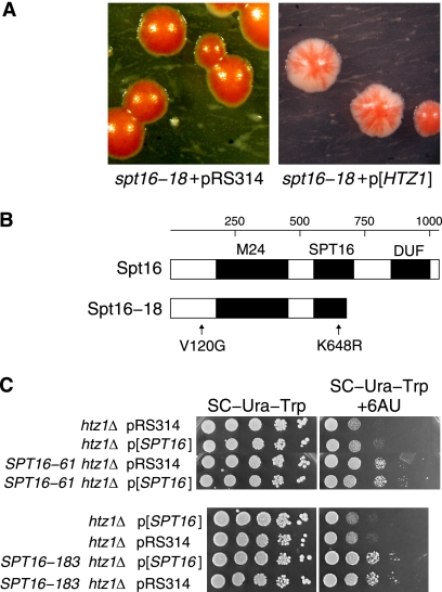 Fig. 3.