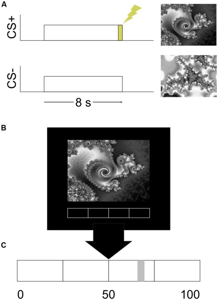 FIGURE 1