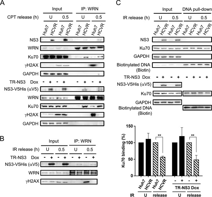 FIG 6