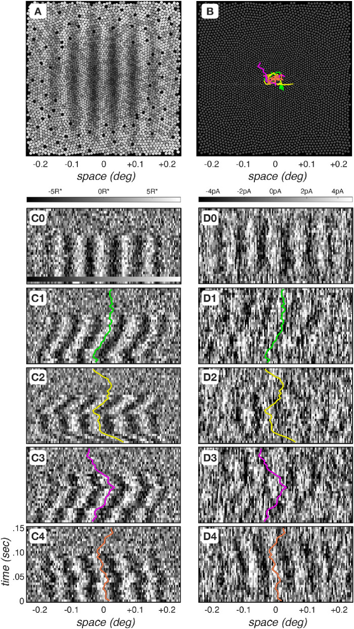 Figure 2.