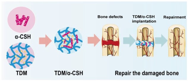 graphic file with name rbad061f7.jpg