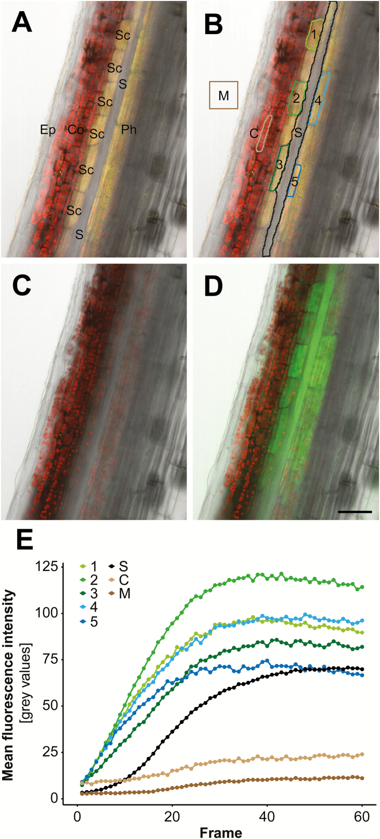 Fig. 3.