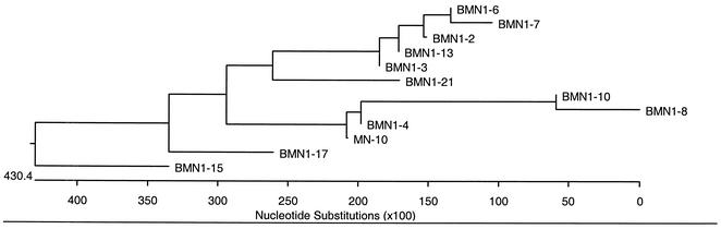 FIG. 1.