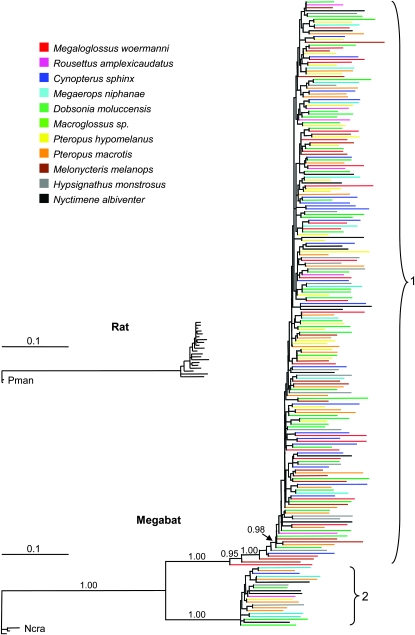 Figure 3.—