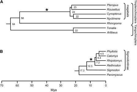 Figure 1.—