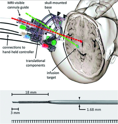 FIG. 1.