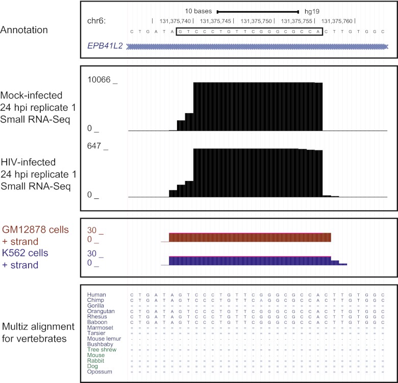 FIG 4 