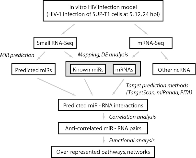 FIG 1 