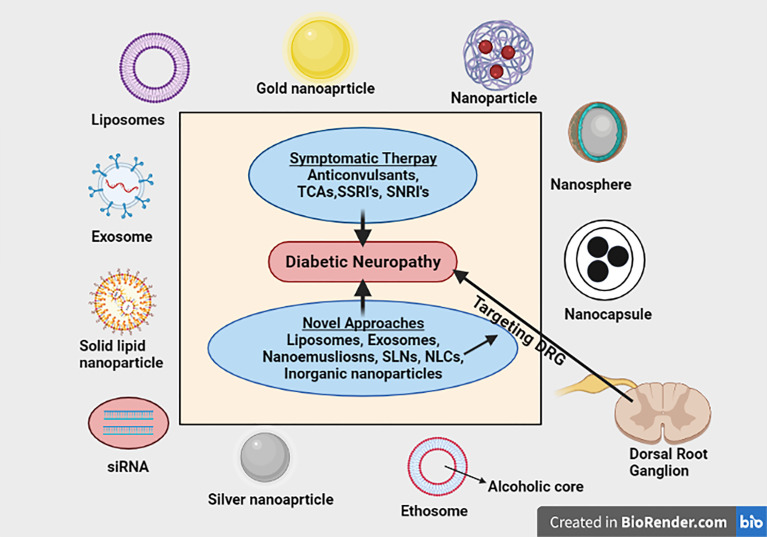 Graphical Abstract