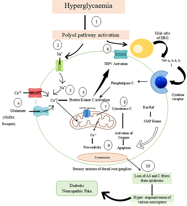 Figure 2