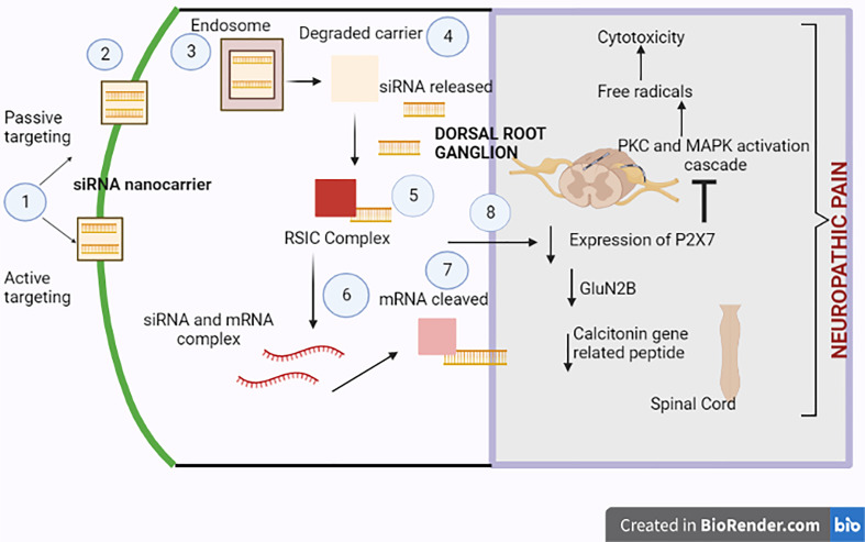 Figure 3