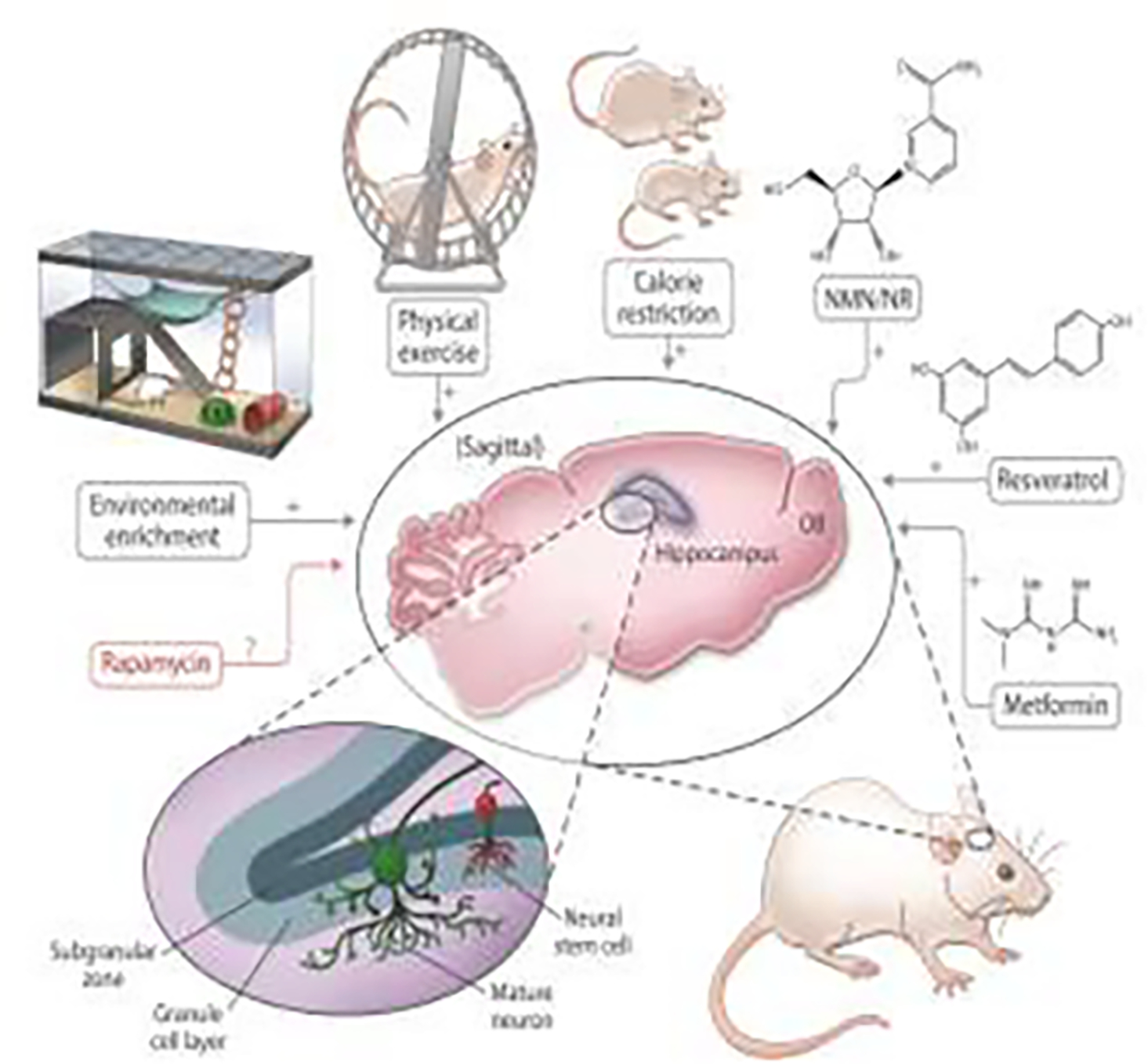 Figure 2.